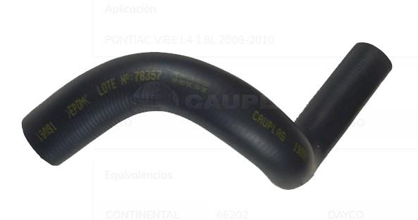 Producto 1