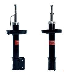SANC0110